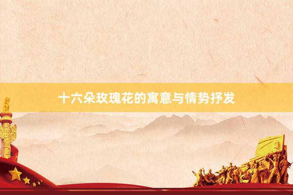 十六朵玫瑰花的寓意与情势抒发