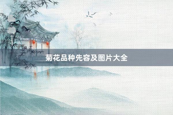 菊花品种先容及图片大全