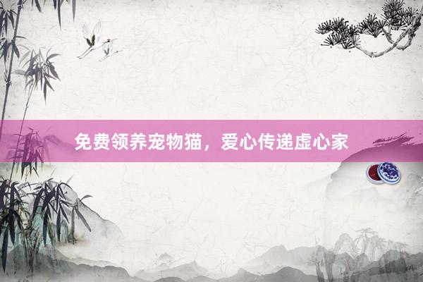 免费领养宠物猫，爱心传递虚心家