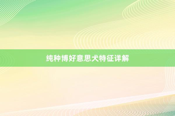 纯种博好意思犬特征详解